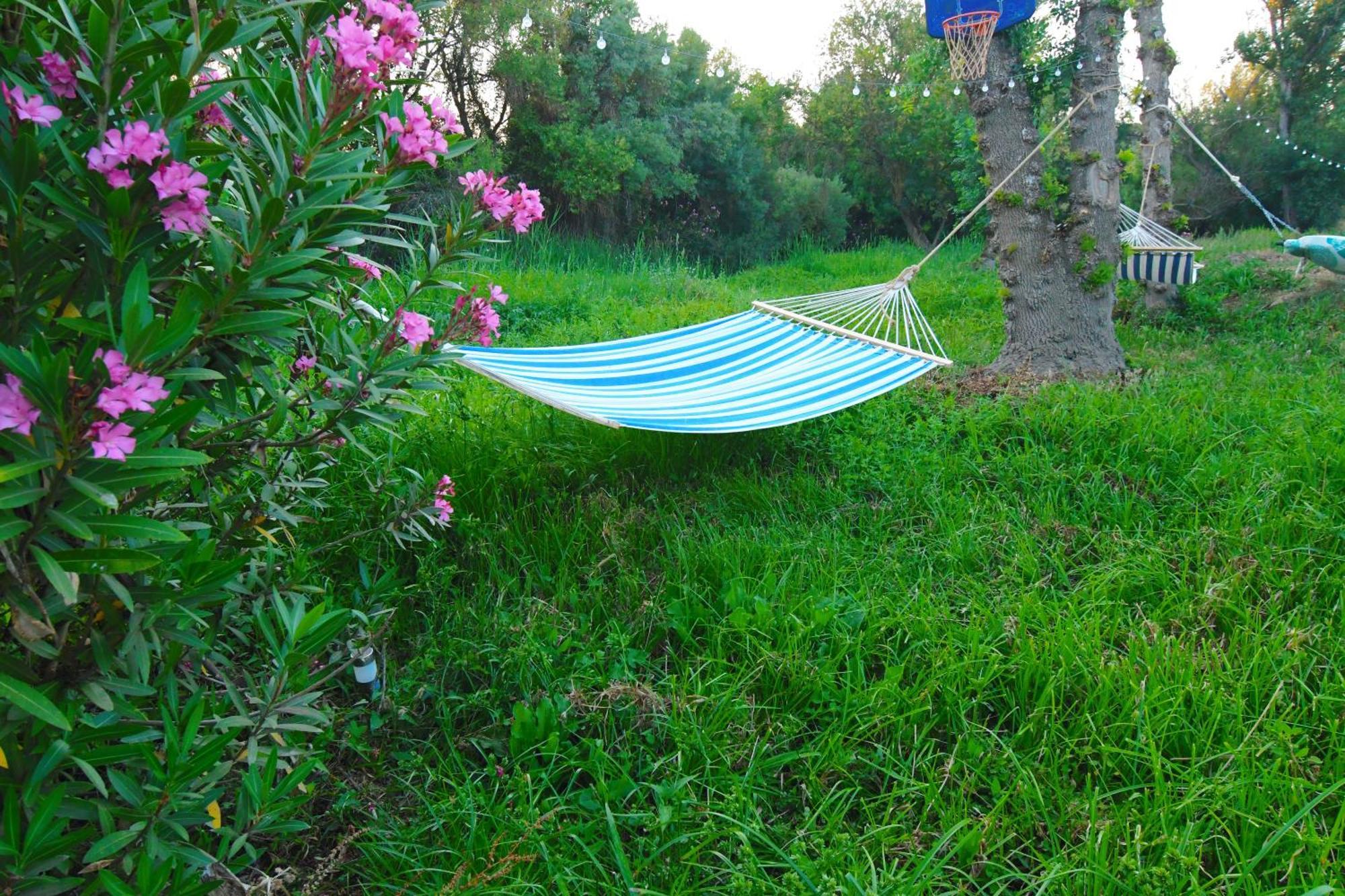 Casa Da Ribeira Villa Campo Maior Dış mekan fotoğraf